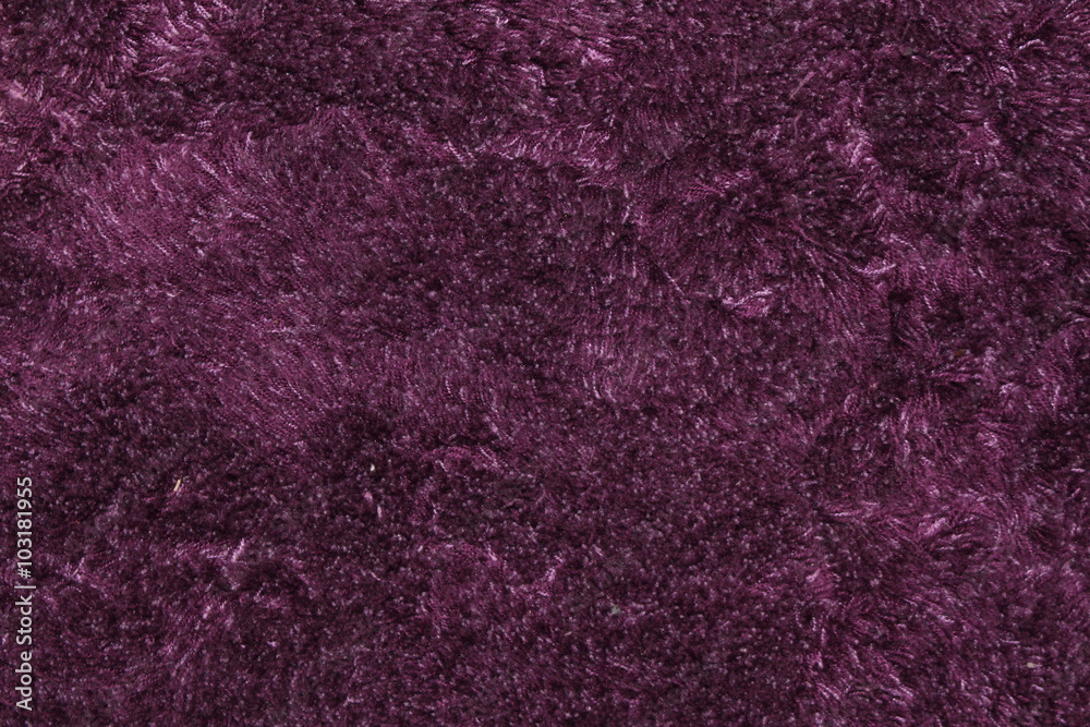 Purple fluffy carpet texture of textile for blank and pure backgrounds