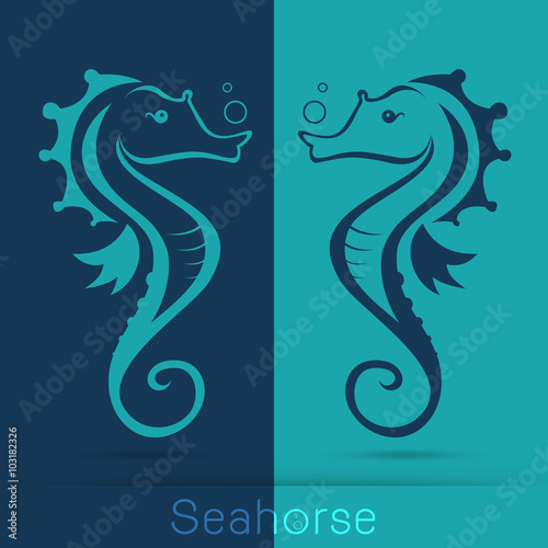 Twin seahorse with sponge, monochromatic