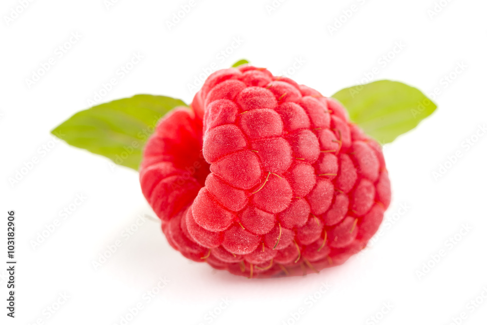 Raspberries with leaves Raspberries with leaves