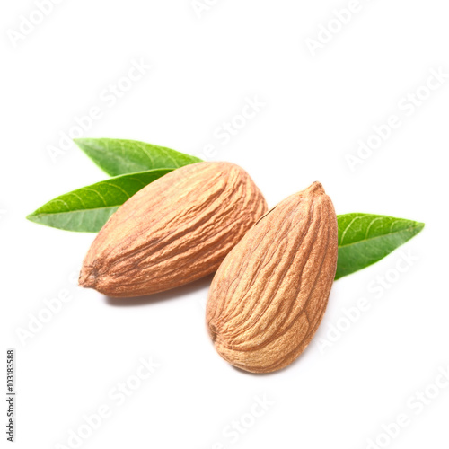 dried almond and leaves on white