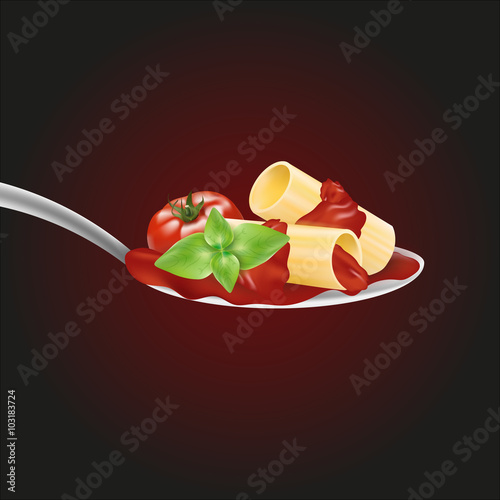 Cucchiaio con Rigatoni al sugo