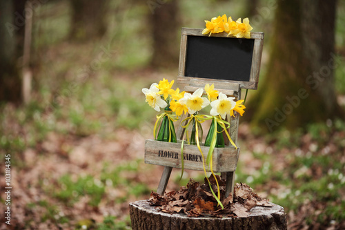  Easter decoration with spring flowers, narcissus blooms. Spring