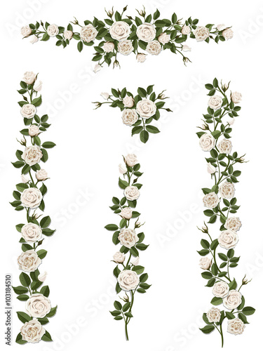 Branches climbing white rose flower with leaves and buds. Elements can be used as a Art Brush (scale proportionately) to create of any curled form. To decorate the balcony facades, fence, wall, card. photo