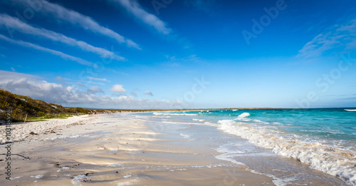 beautiful  beach in santa cruz galapagos islands