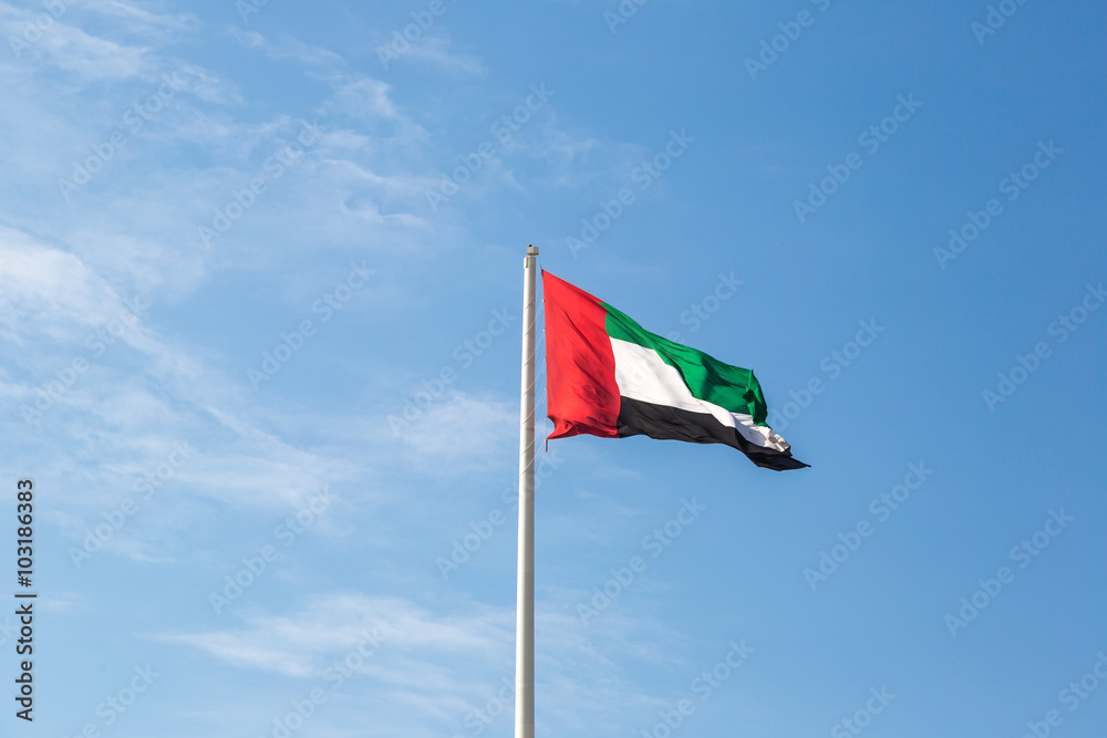 Naklejka premium Flag of United Arab Emirates