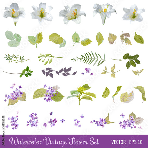 Vintage Flower Set - Watercolor Style - in vector