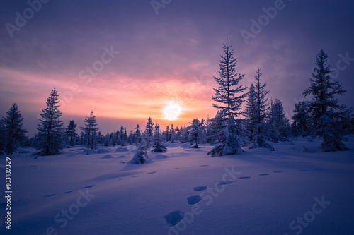 Winter landscape with taiga, cloudy sky and sun 