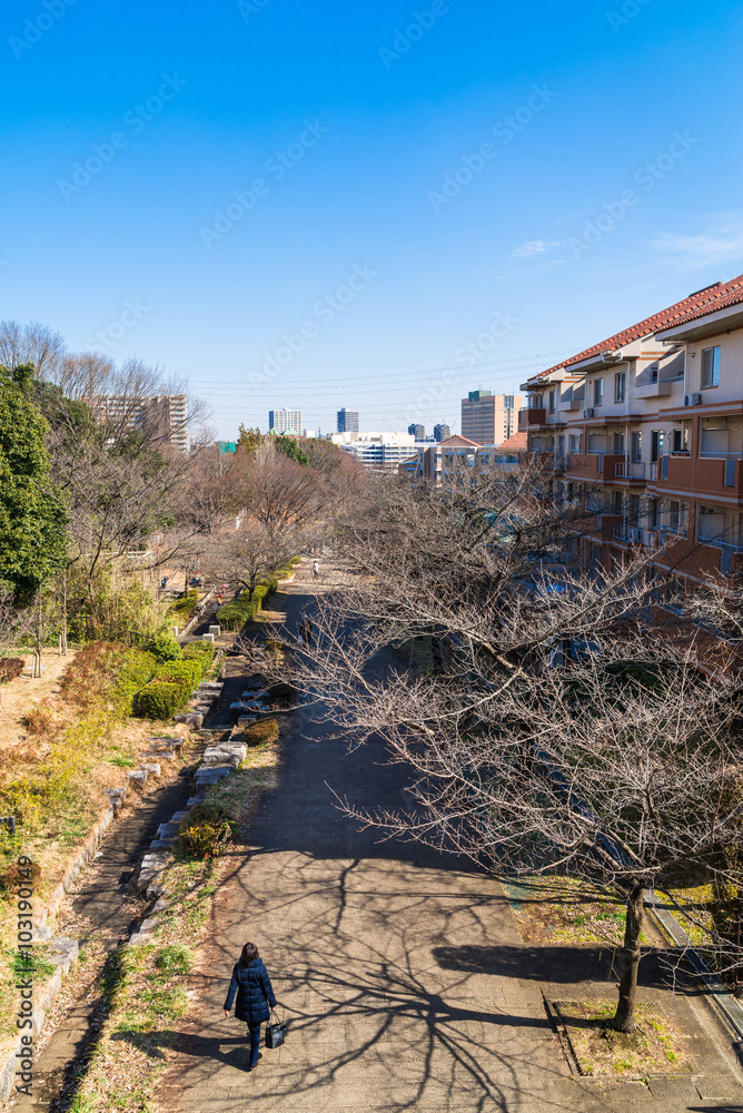 郊外の住宅街 郊外の住宅街