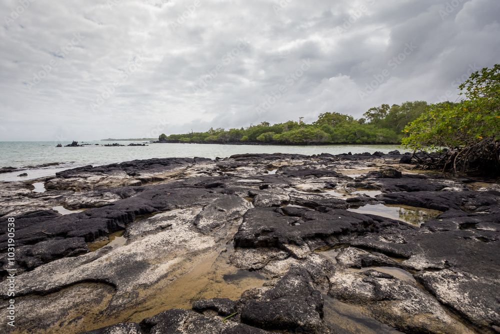Sea side near mangrove forest ,Isabela ,Galapagos Sea side near mangrove forest ,Isabela ,Galapagos