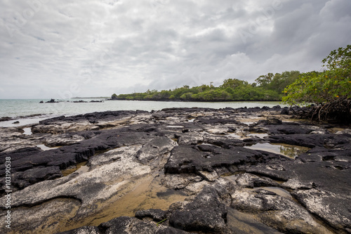 Sea side near mangrove forest ,Isabela ,Galapagos 