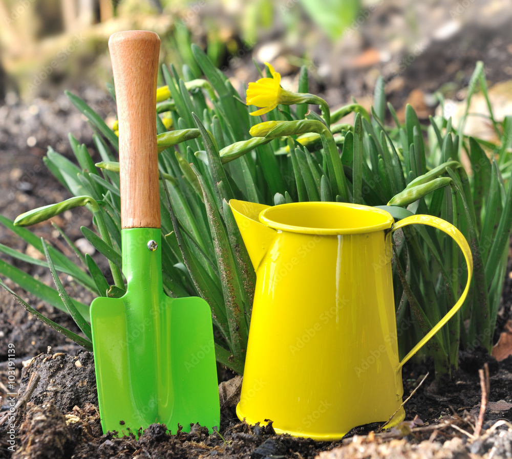 petits outils de jardinage colorés et narcisses petits outils de jardinage colorés et narcisses
