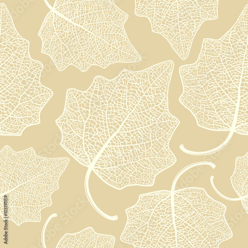 poplar  leaf skeleton pattern