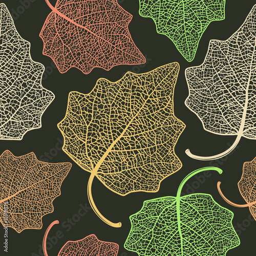 poplar  leaf skeleton pattern
