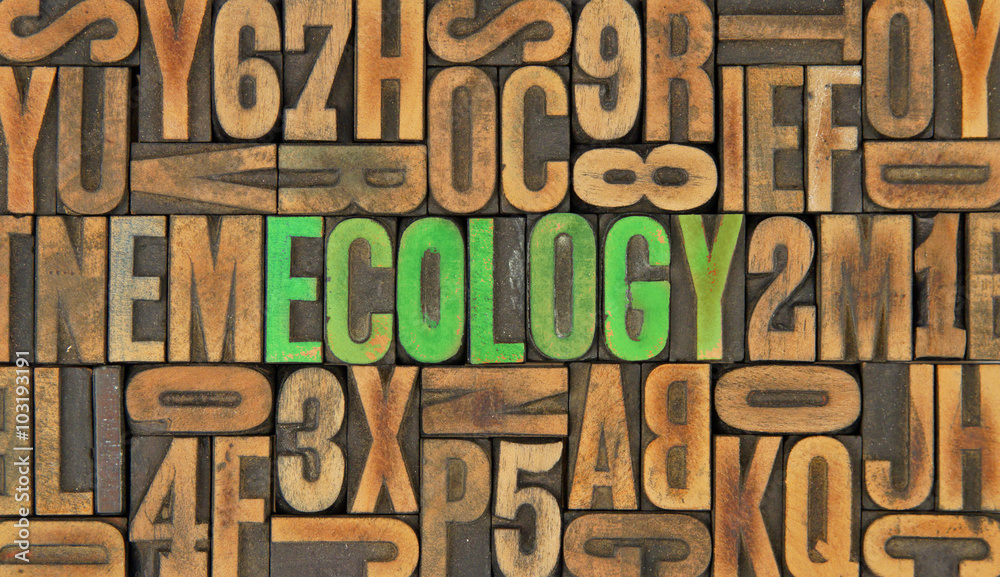 Ecology / caracteres d'imprimerie en bois Ecology / caracteres d'imprimerie en bois