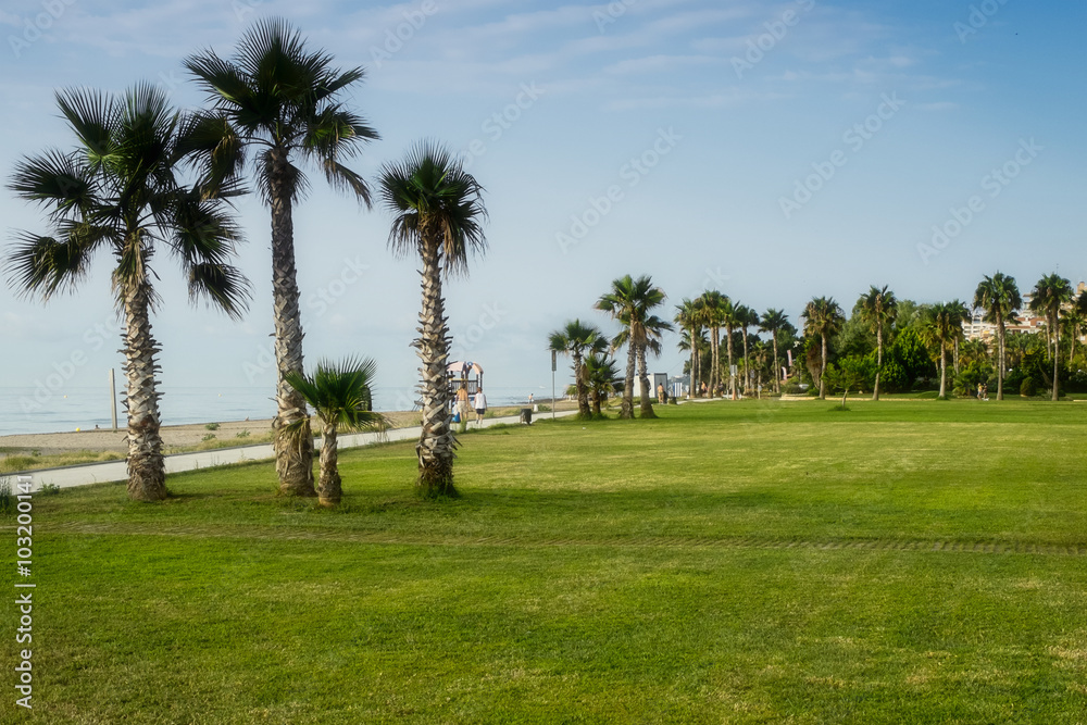 Sunrise on the beach in Spain and palms Sunrise on the beach in Spain and palms