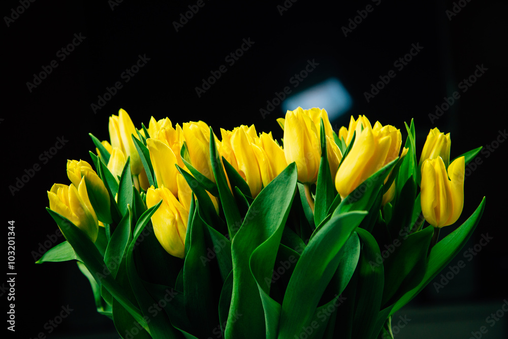 Naklejka premium Bouquet of yellow tulips on dark background