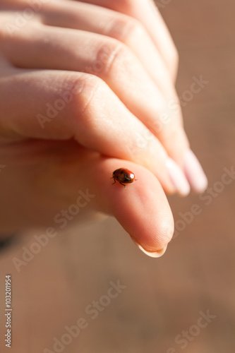 ladybird and girl © nazarets