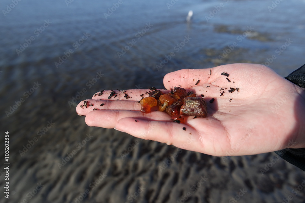 Fototapeta premium Bernstein gefunden