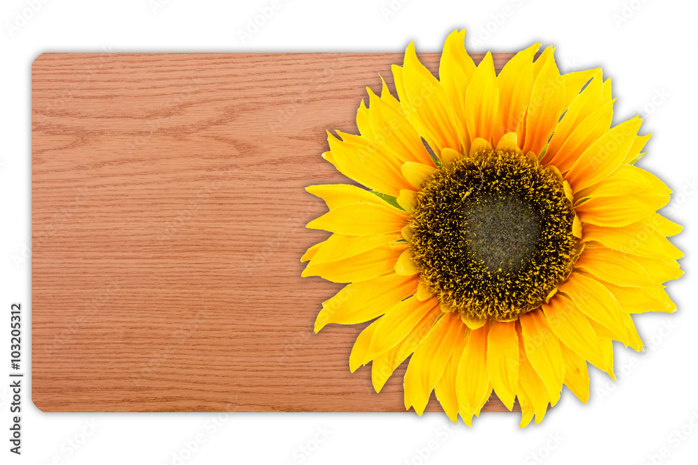Obraz premium Sunflower on wood texture background.