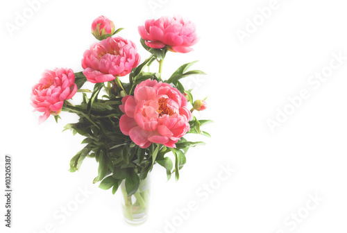 Wallpaper Mural peonies in a vase on a white backgroundpeonies on a white background Torontodigital.ca