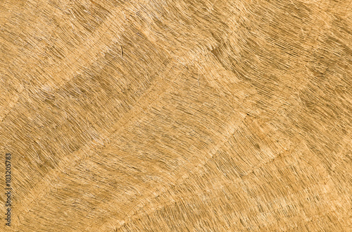 Flax Fiber Texture