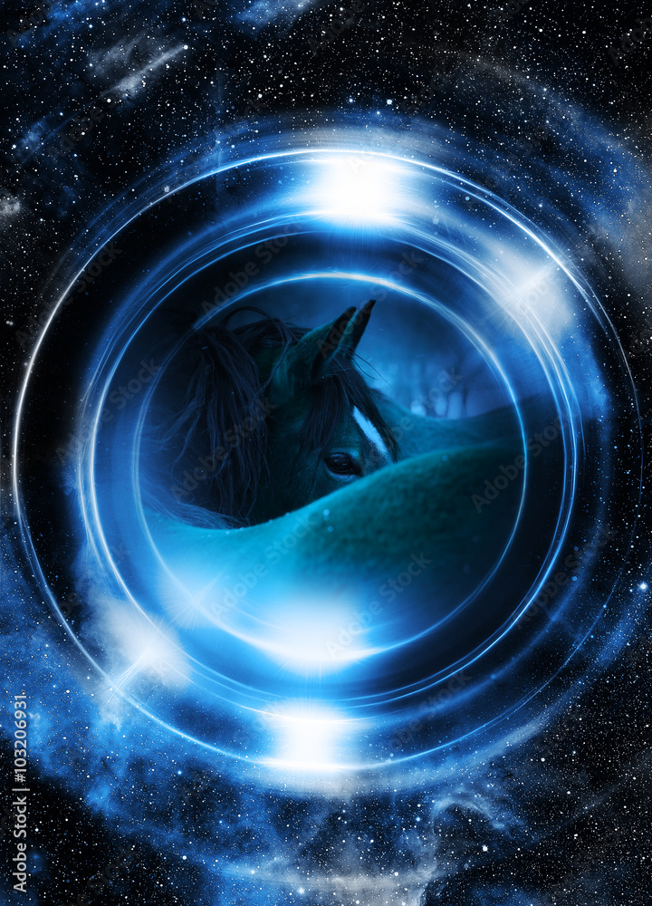 Horse in space, in circle light. Mirror on the planet Earth. Animal concept, Profile portrait. Winter effect and blur color. Horse in space, in circle light. Mirror on the planet Earth. Animal concept, Profile portrait. Winter effect and blur color.