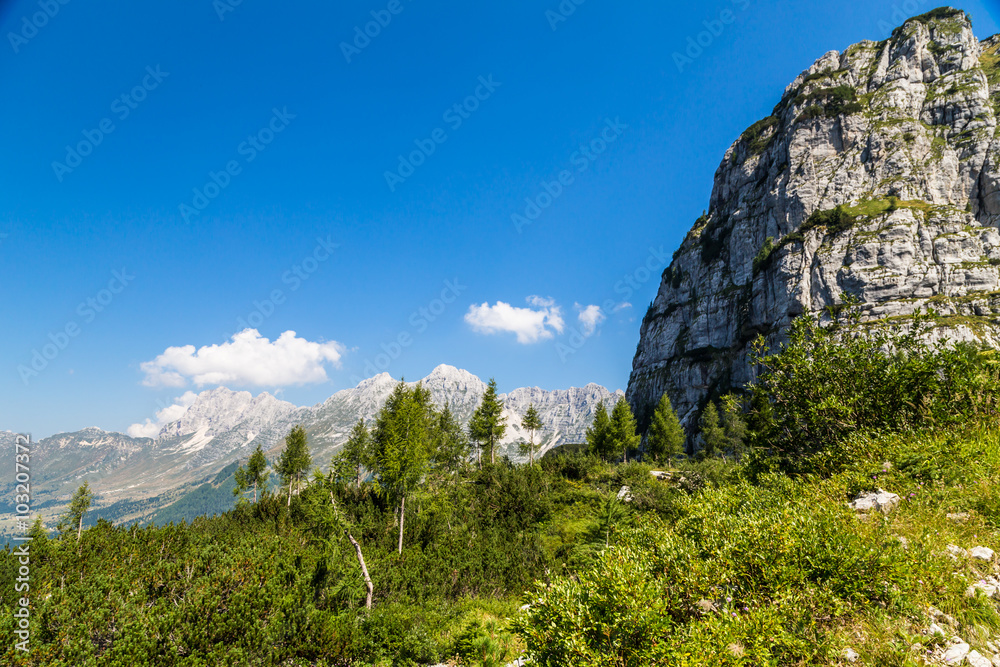 mountain peak in a summer day