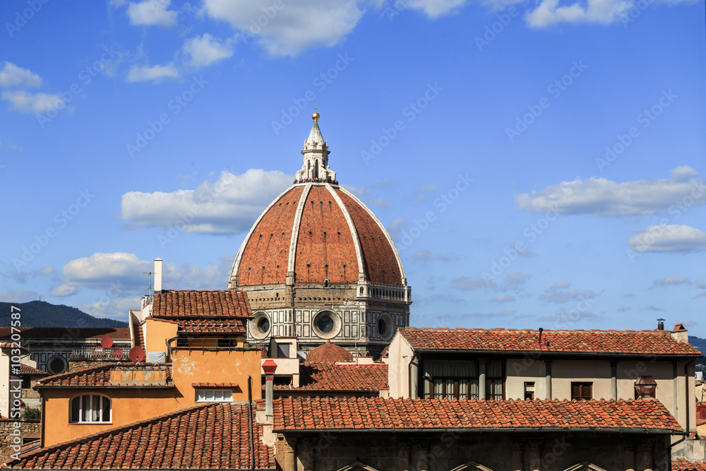 Florence City Roof View