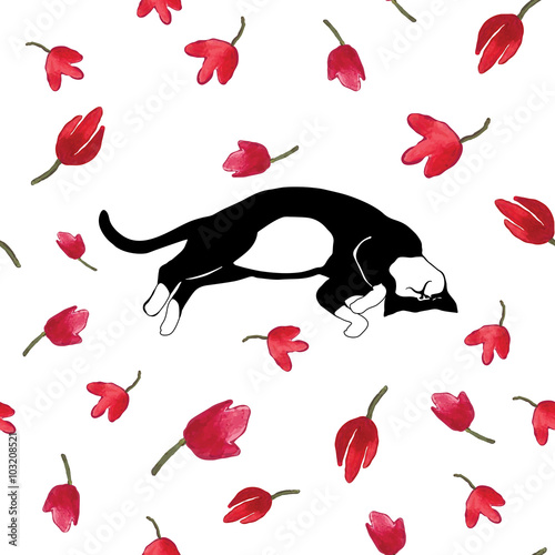 cat and red flowers