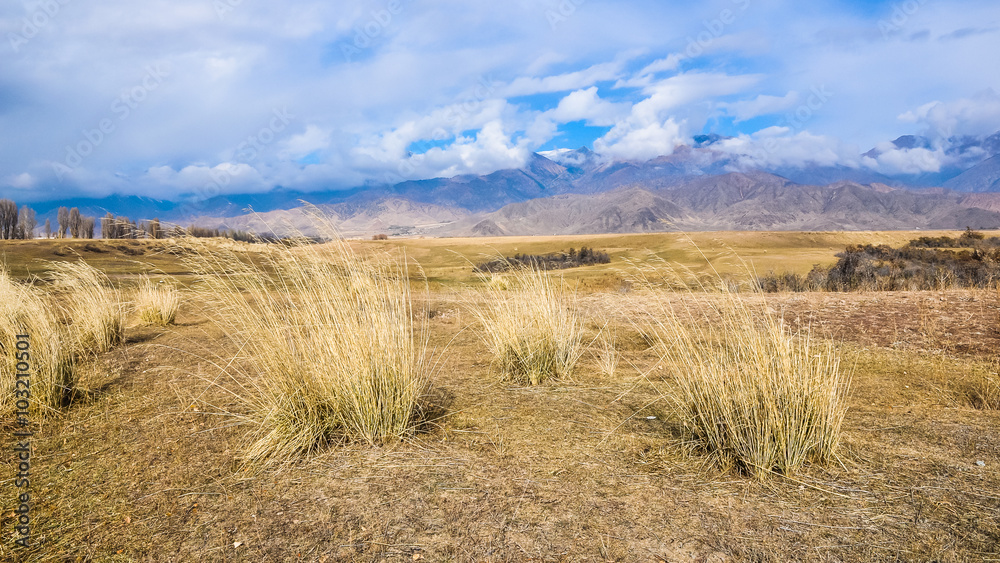 Large meadow and mountains in the background in autumn