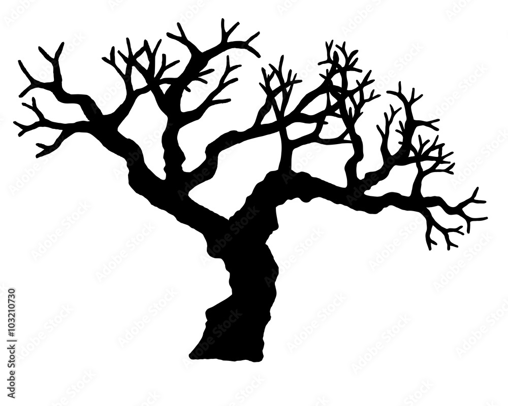 Tree vector isolated on white background. Tree vector isolated on white background.