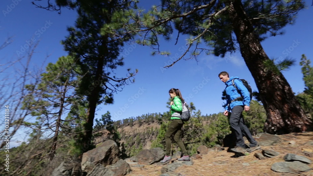 Hiking couple walking on forest hike together on trek outdoors in mountain forest. People hiking - woman and man hikers on Tenerife, Canary Islands, Spain. Hiking couple walking on forest hike together on trek outdoors in mountain forest. People hiking - woman and man hikers on Tenerife, Canary Islands, Spain.