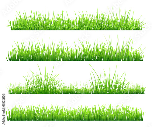 Set of green grass
