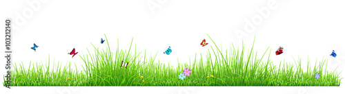 Green grass with flowers and butterflies