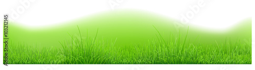 Background with hills and green grass