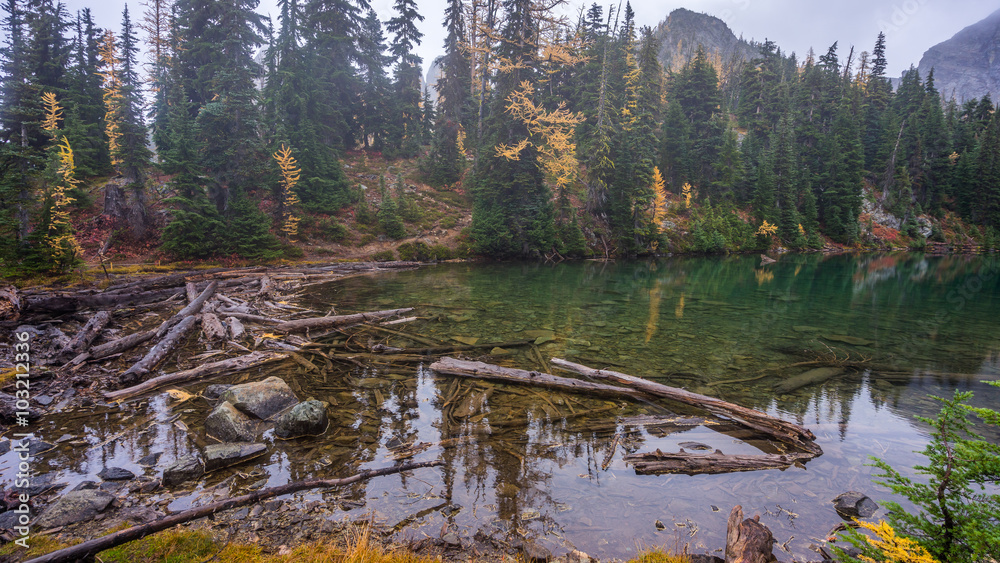 Fototapeta premium Fallen logs in a forest lake high in the mountains, BLUE LAKE TRAIL, Washington state