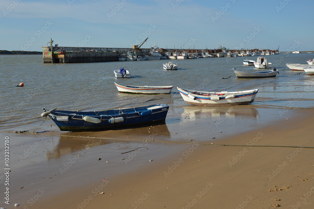 barcas marineras barcas marineras