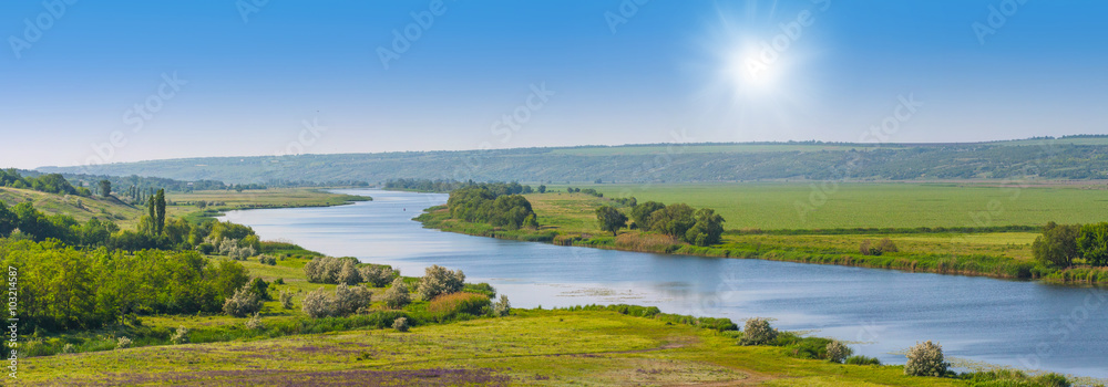 Fototapeta premium Spring sunny day