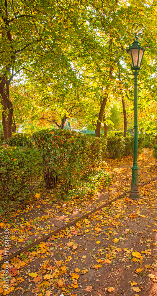 Bench with trees in autumn Bench with trees in autumn