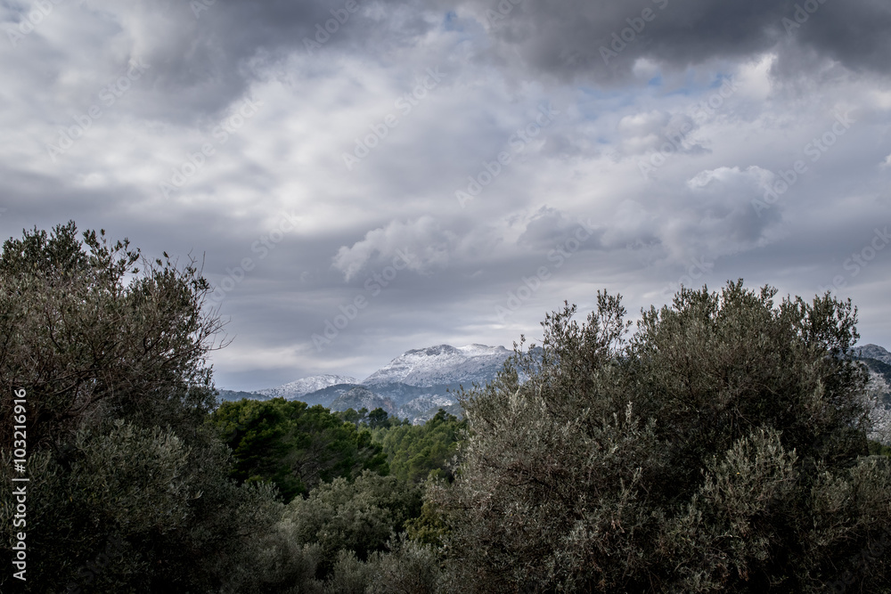 Obraz premium Massanella im Schnee