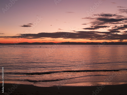 Rosado atardecer