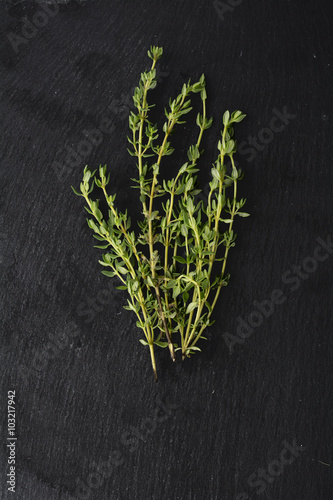 fresh green thyme, Thymus vulgaris, on dark slate