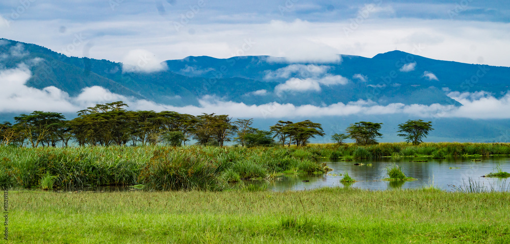 Ngorongora Crater Landscape with view of marshy wetland, Acacia Trees and mountains along the Crater rim
