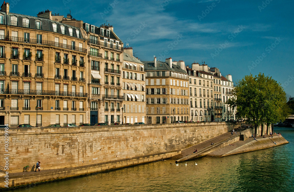 Naklejka premium Bank of river Seine in Paris, France