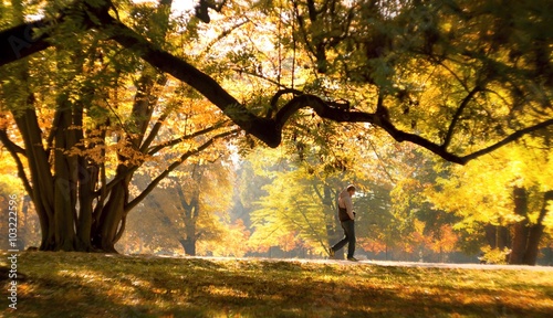 Autumn in City Park Olomouc