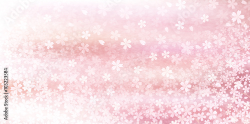 桜　春　花　背景