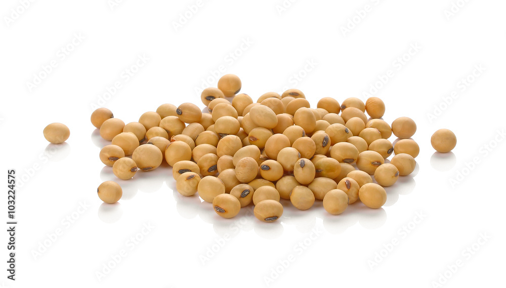 Soybean isolated on white background Soybean isolated on white background