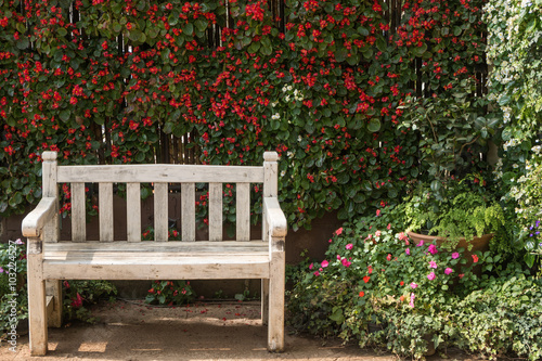 the bench in the flowers garden