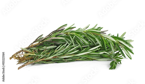 rosemary on white background