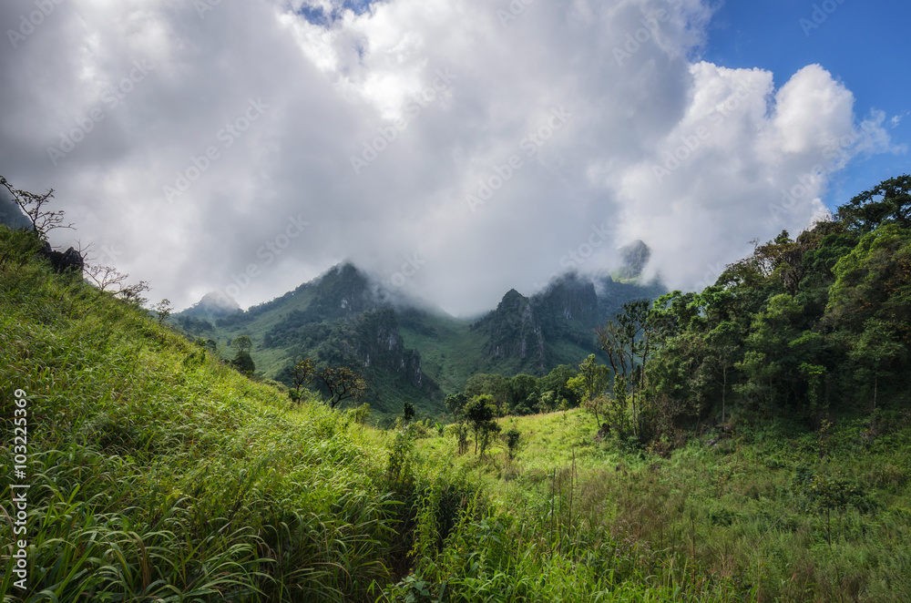 Mountain and cloudy day  in the northern of Thailand on dramatic tone style.